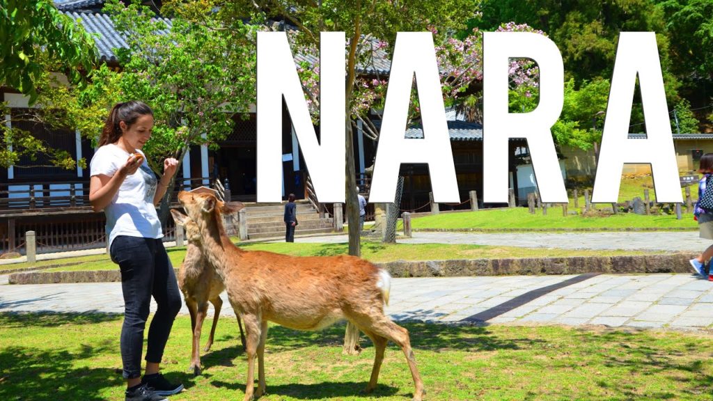 Nara, la ville aux daims | VLOG JAPON