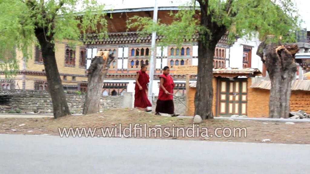 Bhutanese lamas walk past profuse pear blossoms in downtown Paro Bhutanese lamas walk past profuse pear blossoms in downtown Paro