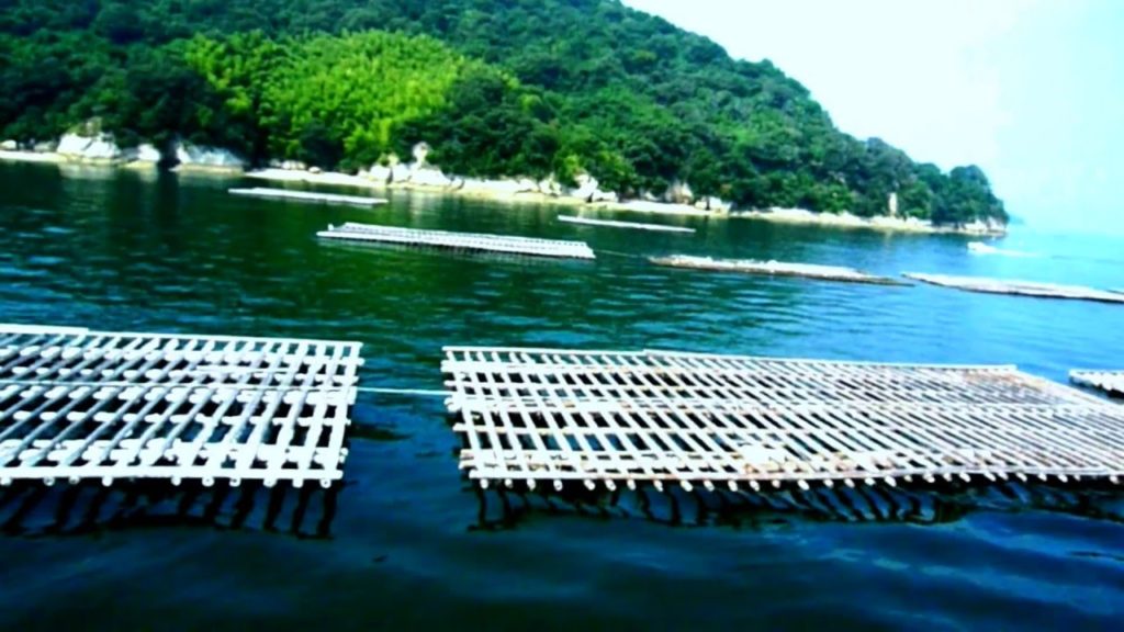 【Amazing Japan】The Seto Inland Sea / SDGs