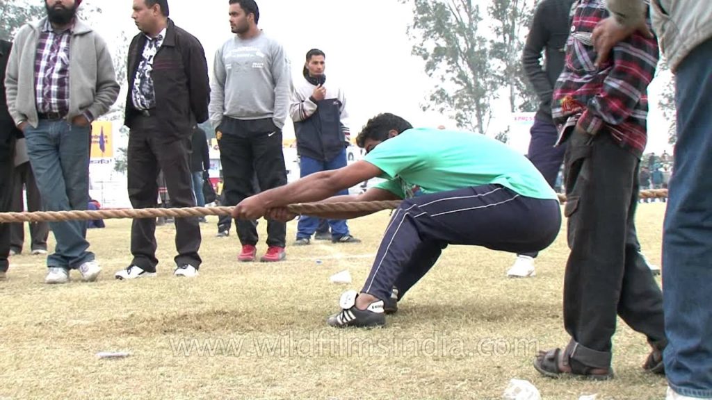 Tug-of-war competition at Kila Raipur Olympics Tug-of-war competition at Kila Raipur Olympics