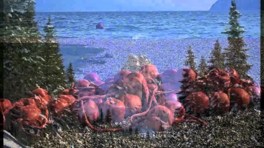 Trentino Region  -  Italy