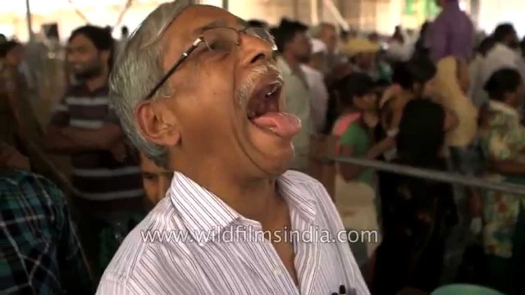 Thousands swallow live fish in India to relieve asthma Thousands swallow live fish in India to relieve asthma