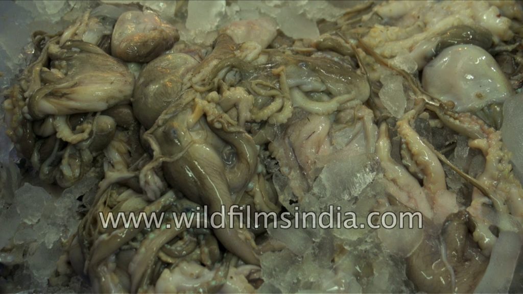 Octopus for sale at INA market in Delhi