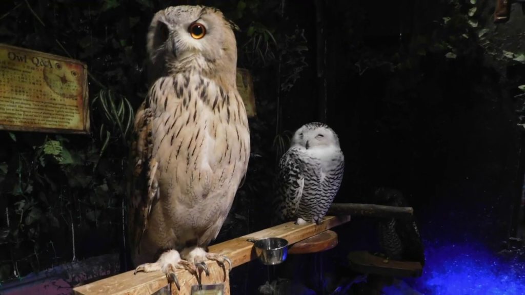 Japan II Osaka, Hiroshima, Tokyo