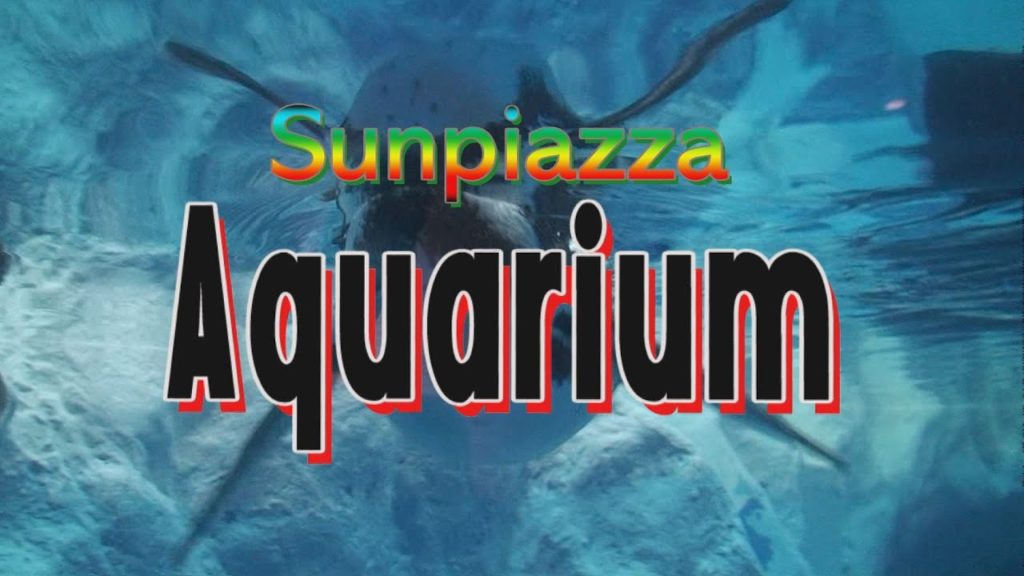 Ｓａｐｐｏｒｏ　Sunpiazza Aquarium 水族館