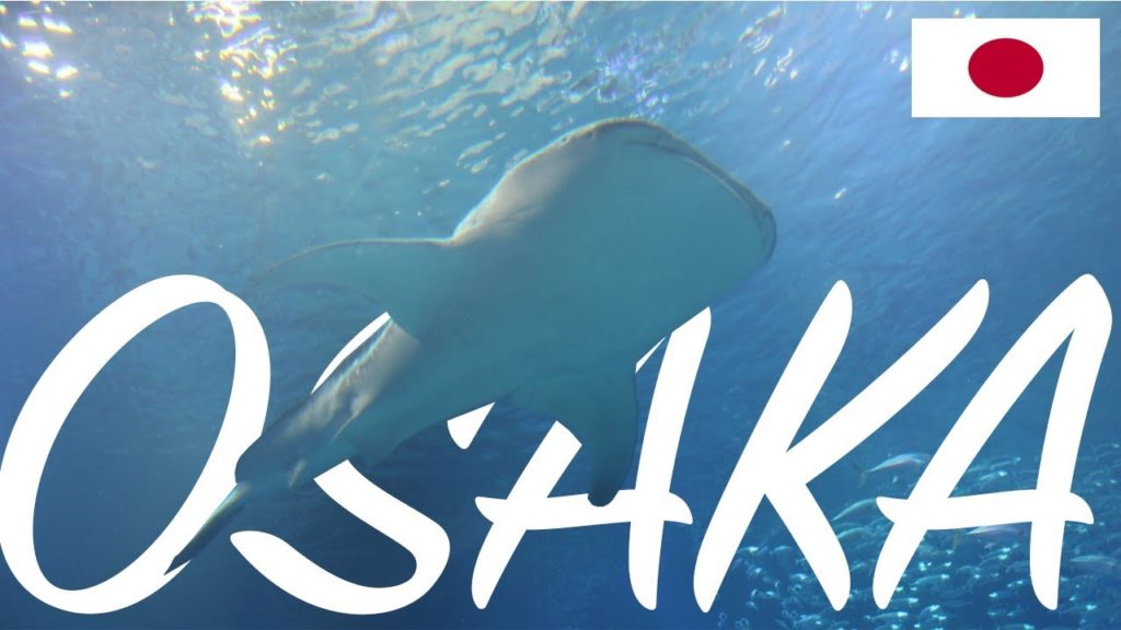 Crazy Japanese Aquarium in OSAKA