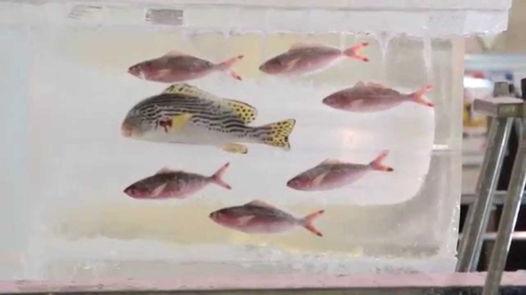 Tofugu ♥ Hokkaido: Seafood