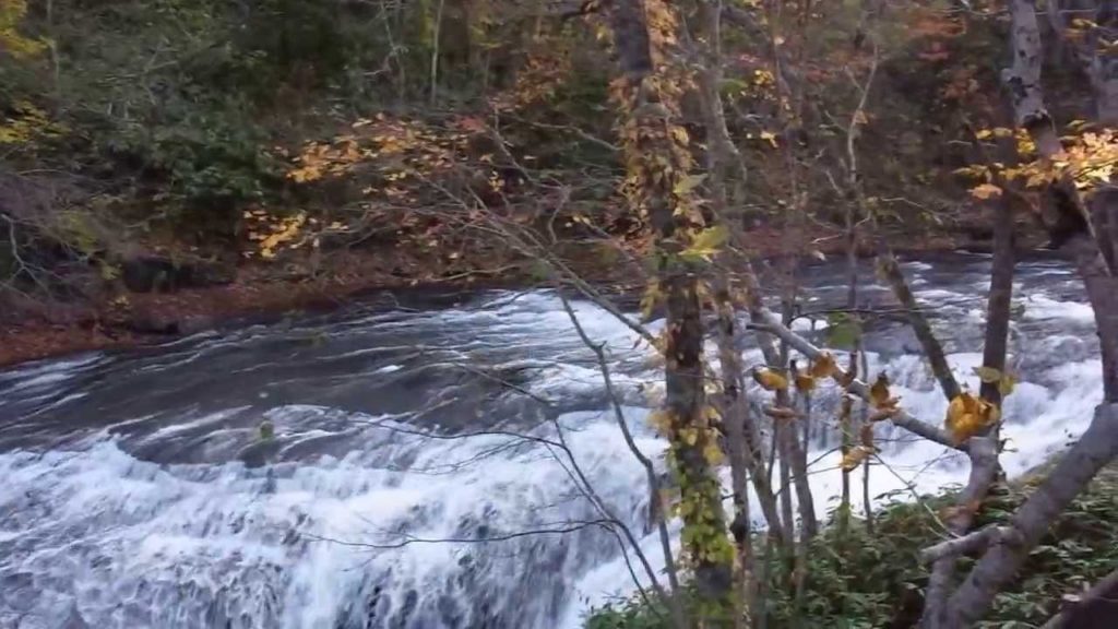 [Travel Hokkaido Japan] Eniwa  恵庭の紅葉・見どころ　ラルマナイ自然公園　白扇の滝の迫力の水量