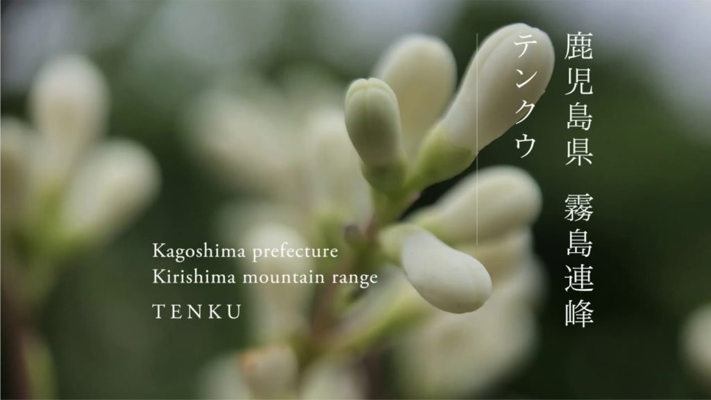 鹿児島県 妙見温泉 雅叙苑 | Kagoshima pref  Myoken-Onsen  GAJOEN