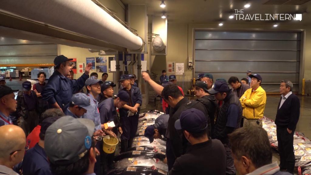 Tuna Auction at Osaka Central Fish Market (大阪市中央卸売市場) | The Travel Intern Tuna Auction at Osaka Central Fish Market (大阪市中央卸売市場) | The Travel Intern