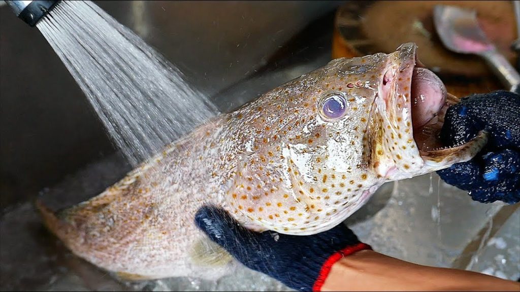 Thai Food - DELICIOUS GROUPER Fried Garlic & Sweet and Sour Sauce Aoywaan Bangkok Seafood Thailand