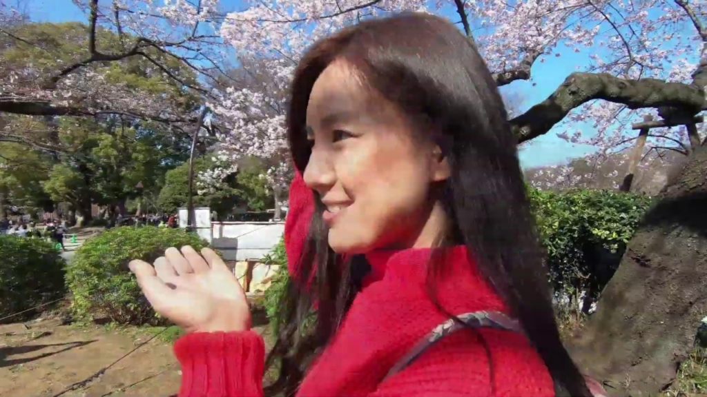 Japan 2019- UENO PARK, SHINJUKU GYEON AND NAGANO (SNOW MONKEY)