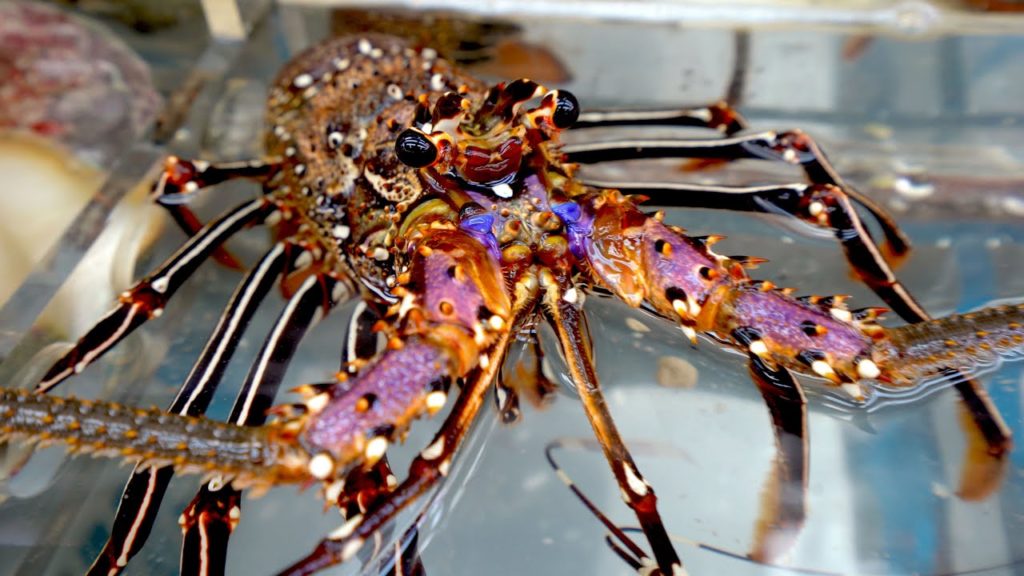 Japanese Street Food 🦞Purple Lobster 🐟Kinki Fish きんき Deep Sea 🏯Japan Seafood Market Okinawa(2019)