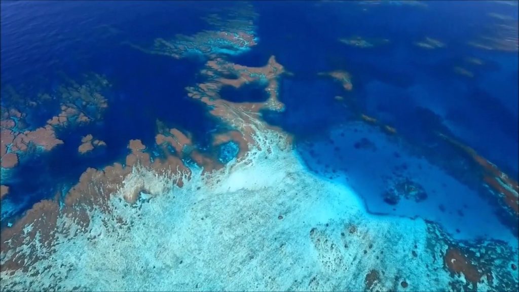 Ishigaki island japan guide (石垣島, Ishigakijima) Travel Guide Ishigaki island japan guide (石垣島, Ishigakijima) Travel Guide