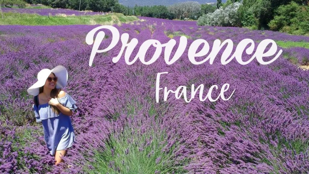 Exploring France – Provence Lavender Fields Exploring France - Provence Lavender Fields
