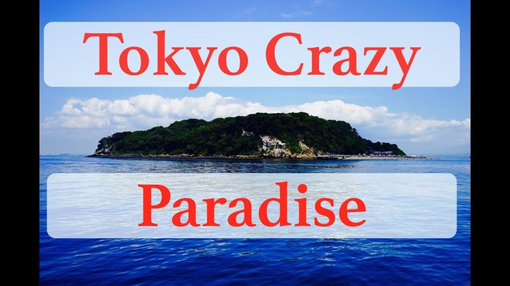 Sarushima Island Trip | Hot Summer Beach Spot Near Tokyo