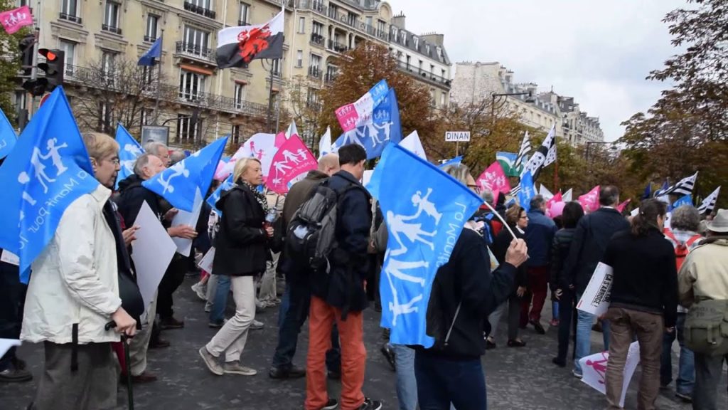 La Manif Pour Tous Protest in Paris near Trocadéro Station