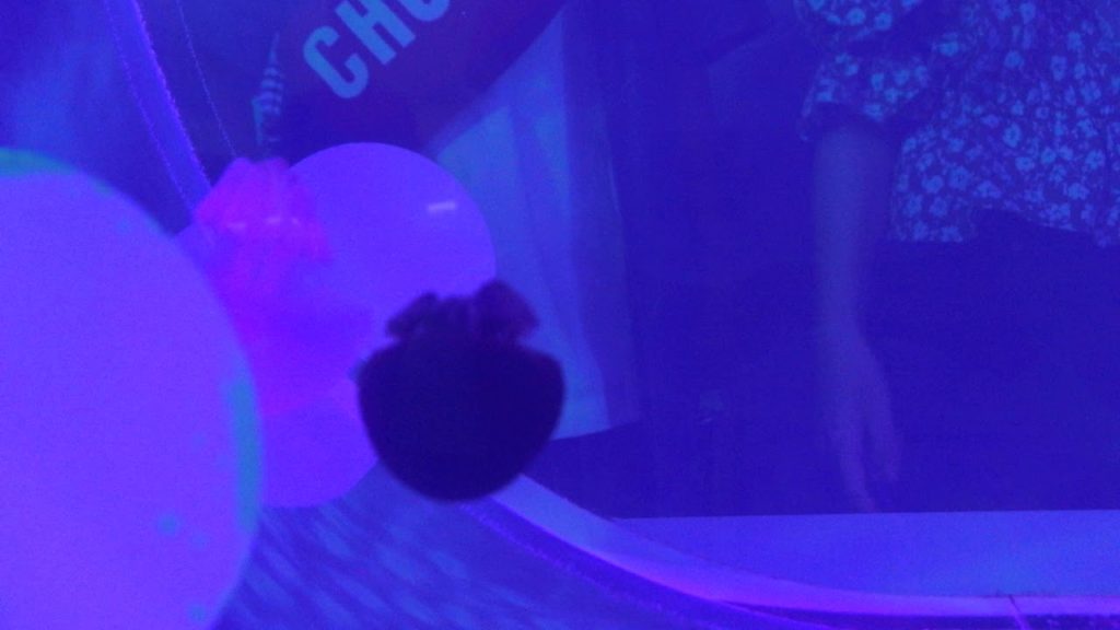 JAPAN Travel Guide, Travel to Osaka,jellyfish오사카 가이유칸 수족관 해파리