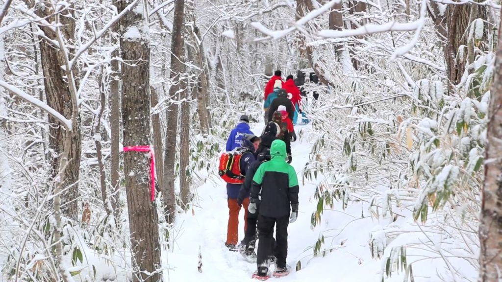 Snowshoe Tour Niseko