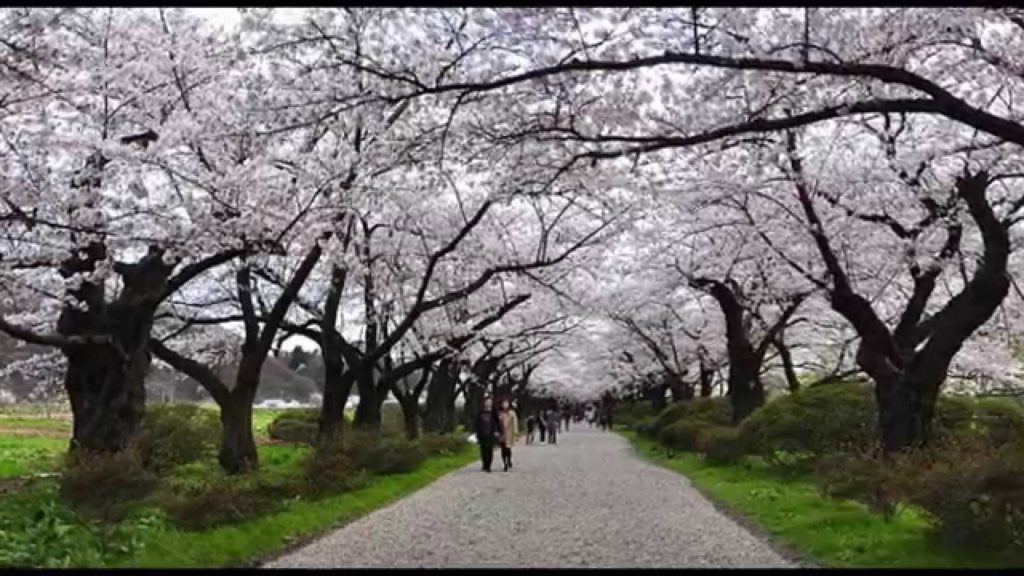 15 Best Tourist Destination In Tohoku Japan