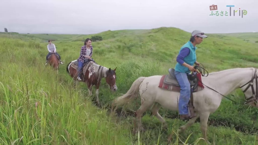 JAL Green Tourism Kumamoto Horse riding【JAL 週末ふるさとTrip 熊本 広大な阿蘇の草原で「乗馬体験」】