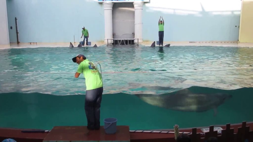 Kobe,Japan. Aquarium and Chinatown.