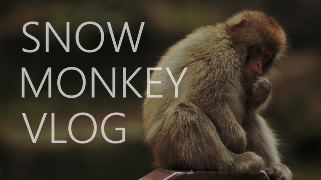Jigokudani Japanese Snow Monkey Park, Nagano, Japan Vlog