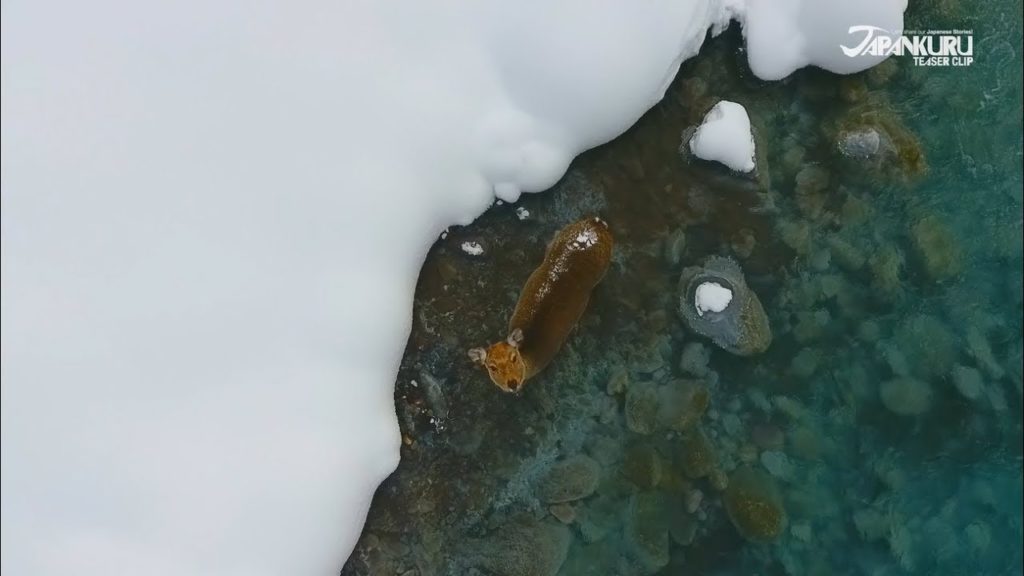 Teaser of our trip to Hokkaido!