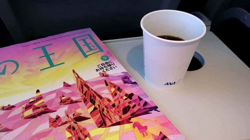 Flight Review ANA B767-300 Economy NH624 Kagoshima to Haneda