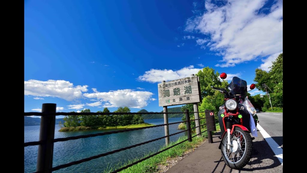 Cub journey in Hokkaido