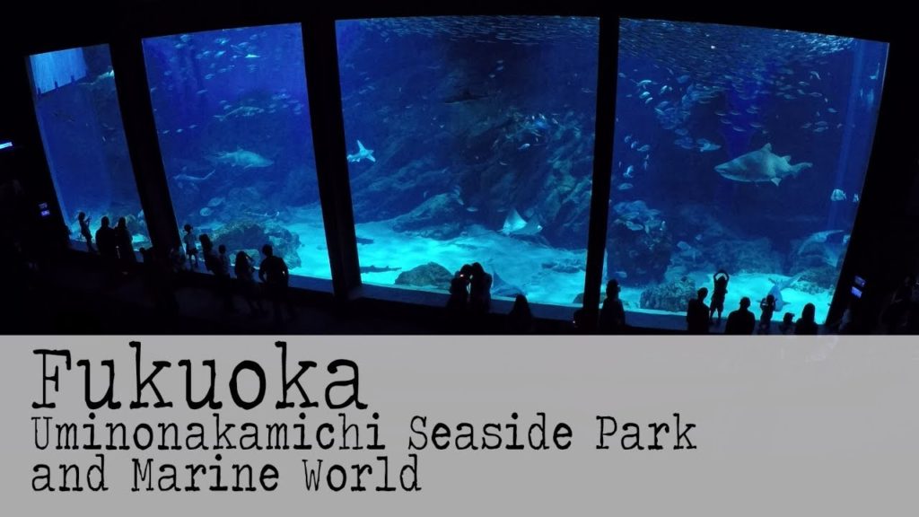Fukuoka. Sunday in the Uminonakamichi Seaside Park and Marine World Aquarium. Backpacking Japan. Fukuoka. Sunday in the Uminonakamichi Seaside Park and Marine World Aquarium. Backpacking Japan.
