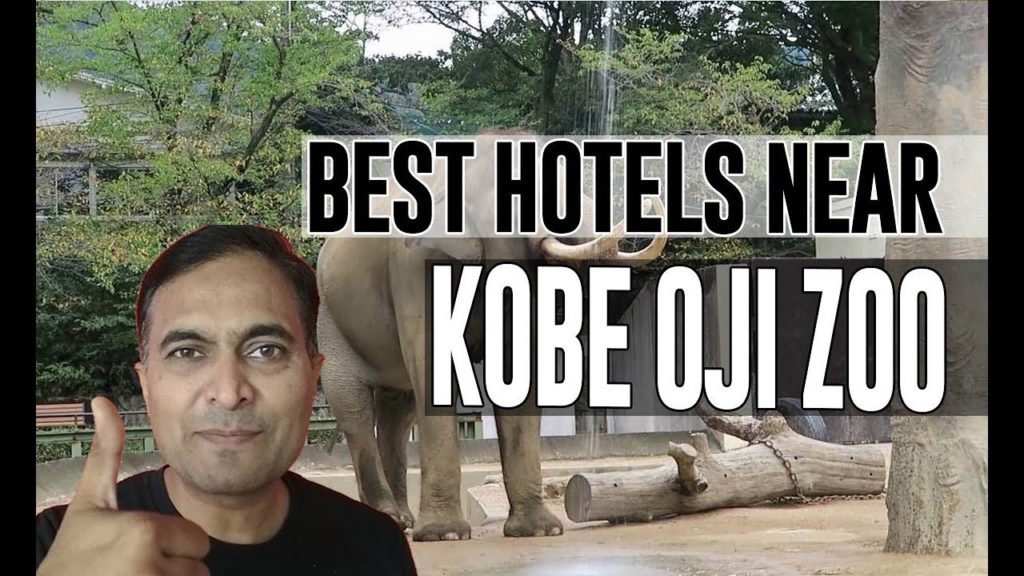 Best Hotel   Accommodation near Kobe Ōji Zoo, Kobe