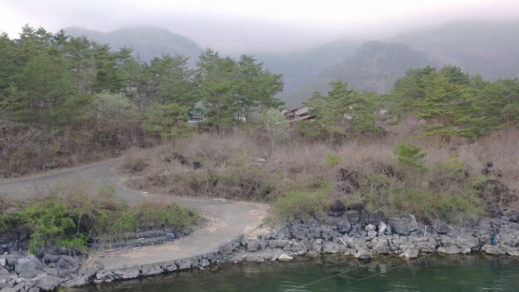 【4K】Flying over lake Saiko and walking through forest Aokigahara