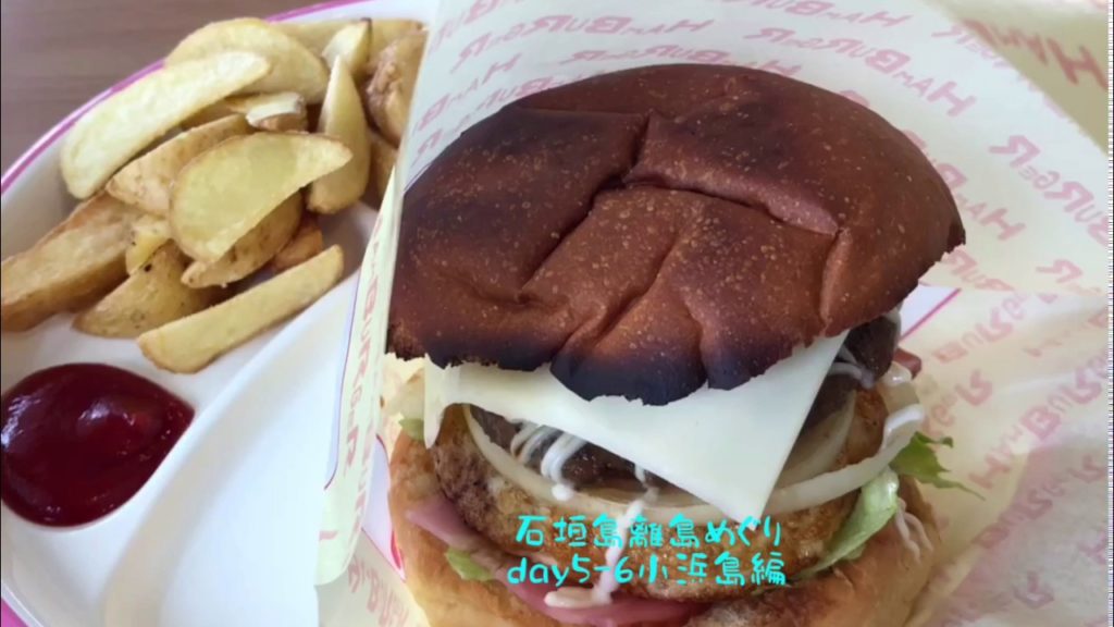 石垣島離島めぐり day5〜6 小浜島編 Okinawa ishigaki KOHAMA travel vlog