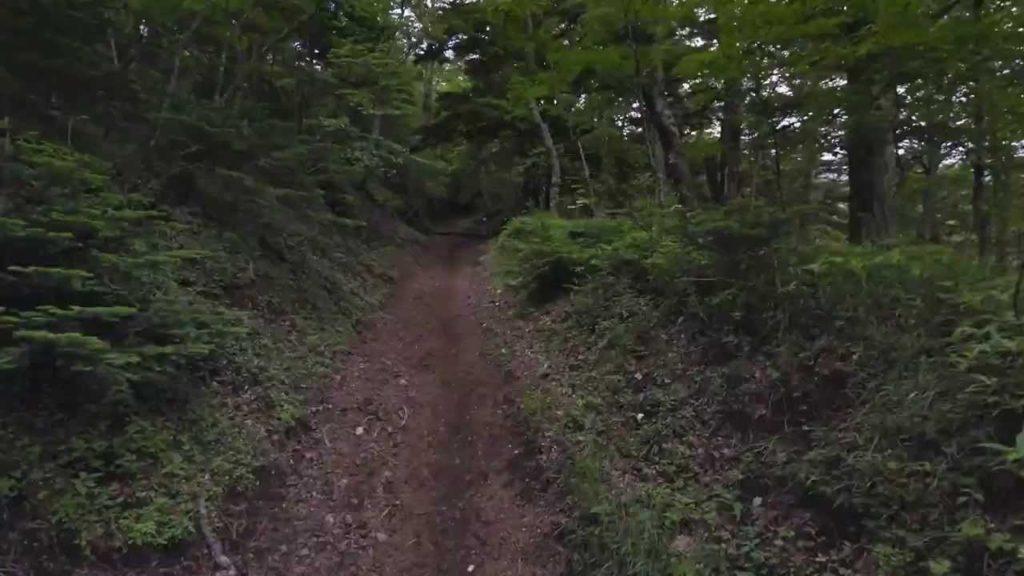 Google street view timelapse. Climbing Mount Fuji (Japan)