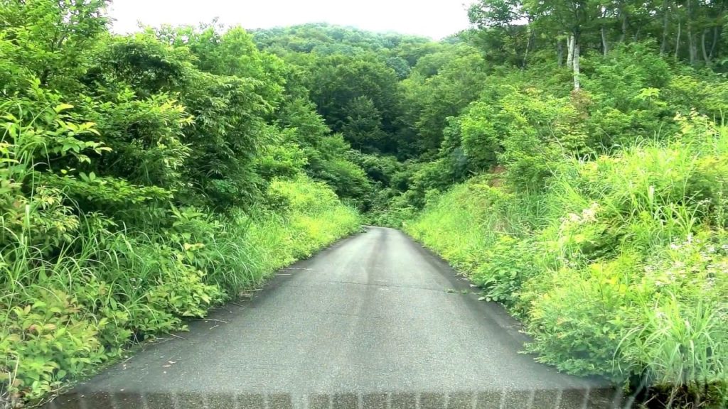 大厳寺高原 ⇒ 天水山 登山口（信越トレイル） ⇒ 山伏山風穴入口 #55