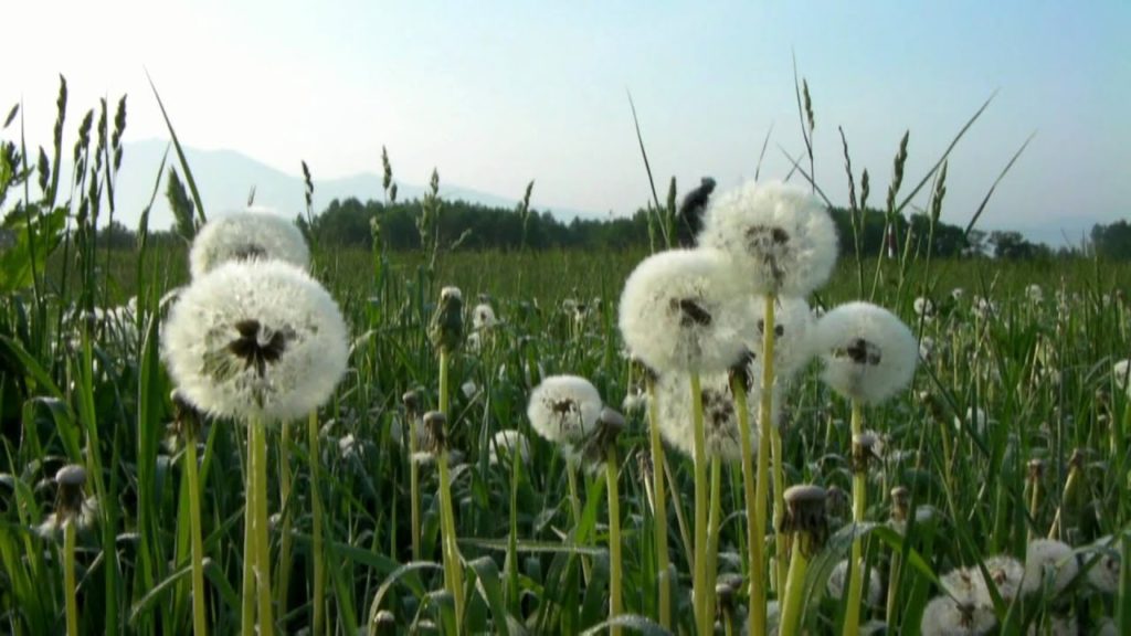 Bike Tours Japan, The Naval of Hokkaido