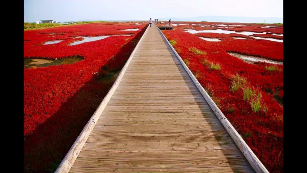 Hokkaido autumn  Unseen