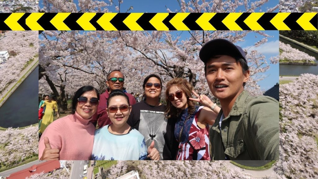 GK PADA TAU! ADA 1600 POHON SAKURA DI HAKODATE