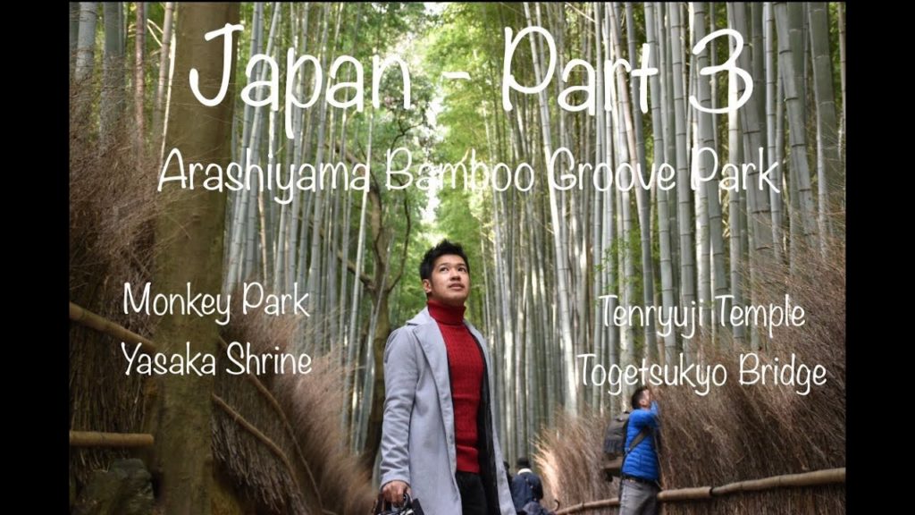 Japan - Part 3; Kyoto, Arashiyama Bamboo Forest