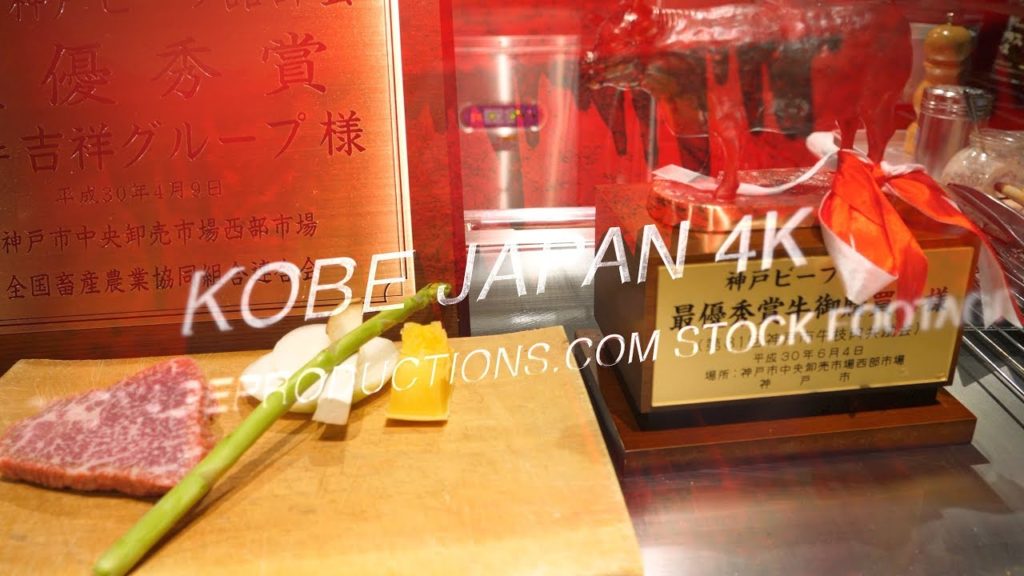 Kobe Japan 4K Stock Footage