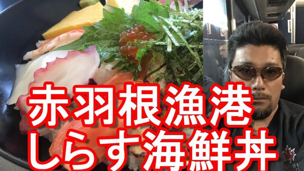 愛知県田原市・赤羽根漁港・道の駅ロコスステーション「なのは」でしらす海鮮丼！Nanoha-restaurant at Akabane port in Tahara city,Japan