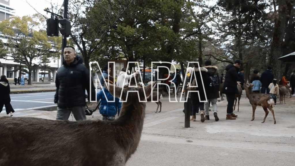 LET'S TRAVEL TO NARA !