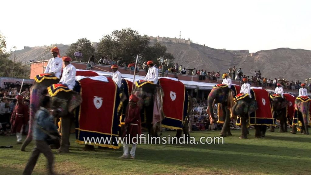 Elephants all in elegant attire loaded with glitter and gold