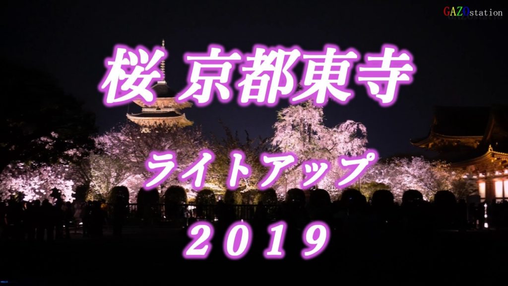 【4K】KYOTO JAPAN cherry blossoms/ 京都 東寺 夜桜 ﾗｲﾄｱｯﾌﾟ/平成最後