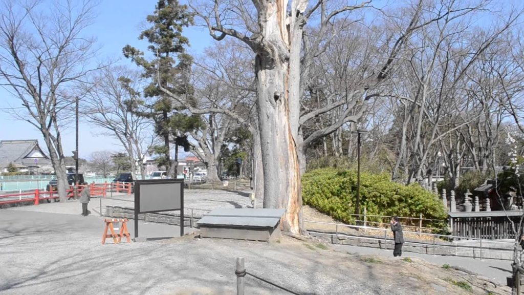 アキーラさん散策②長野・善光寺周辺,Zenkoji-temple,Nagano,Japan