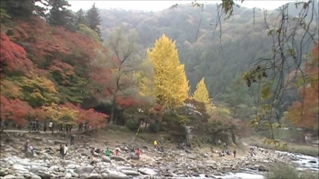 shathnepal - Korankei 香嵐渓もみじ祭り Momiji Tour  # 1