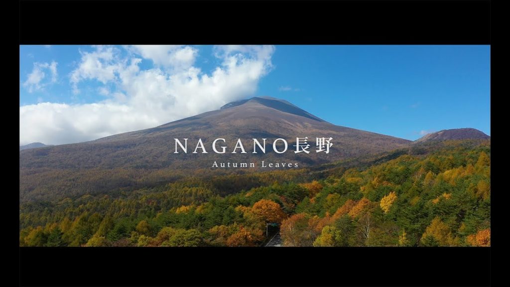 【4K MAVIC 2】絶景ドローン 長野県の紅葉 Autumn Nagano Japan