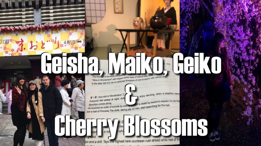 Kyoto, Japan Travel: The Kyo Odori And Early Cherry Blossoms (Sakura) of Gion | 舞妓春の踊り