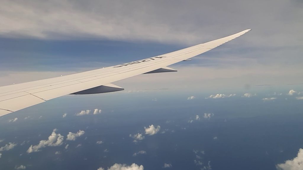 ANA Boeing 787-8 Landing at Tokyo Narita International Airport